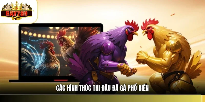Các hình thức thi đấu đá gà phổ biến