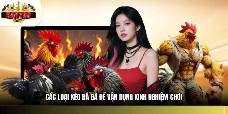 Các loại kèo đá gà để vận dụng kinh nghiệm chơi