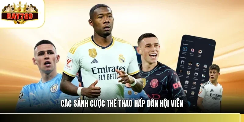 Các sảnh cược thể thao hấp dẫn hội viên