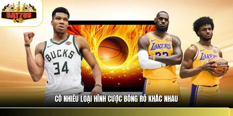 Có nhiều loại hình cược bóng rổ khác nhau