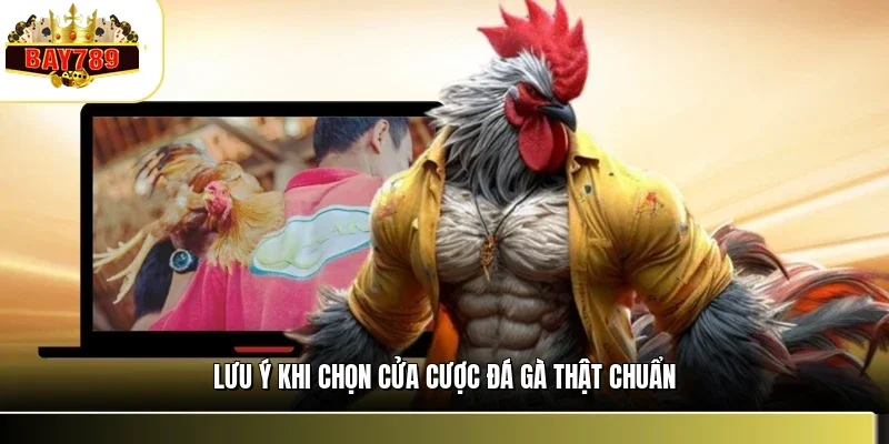 Lưu ý khi chọn cửa cược đá gà thật chuẩn