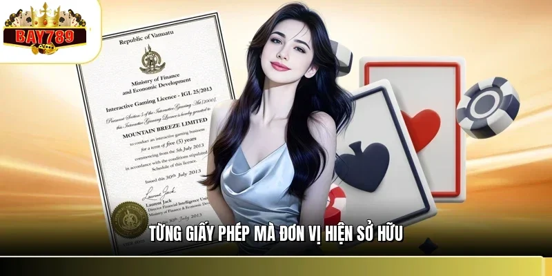 Từng giấy phép mà đơn vị hiện sở hữu